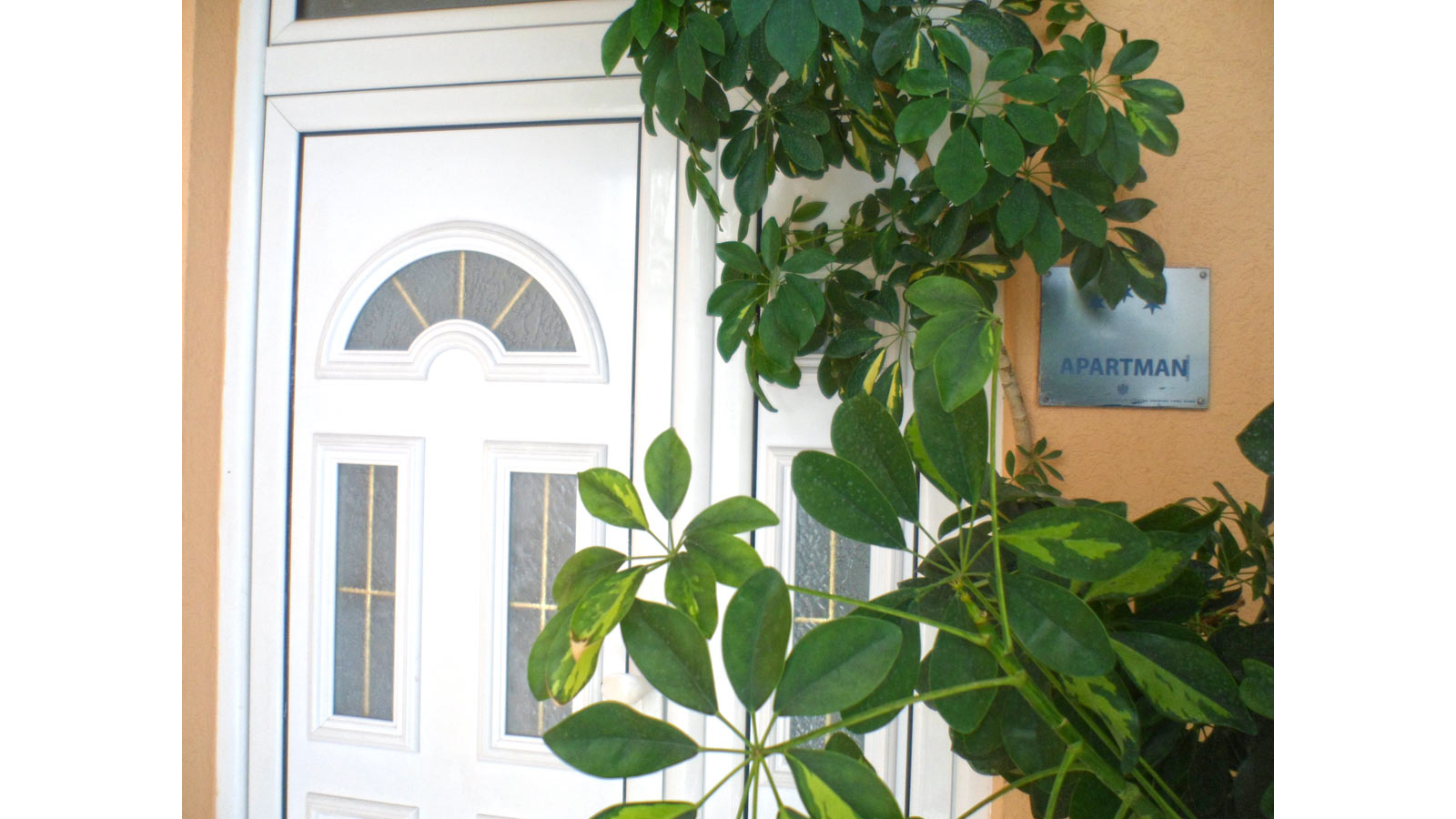 Apartmani Budva 08