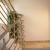 Apartman Budva Kuca06